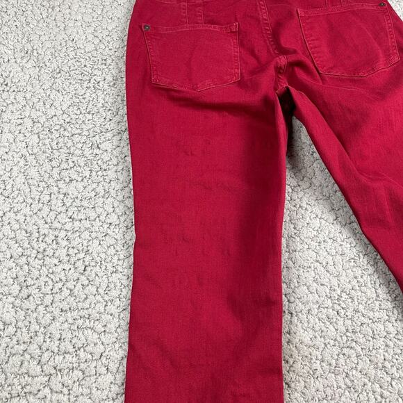 Pilcro and the Letterpress Anthropologie High Rise Skinny Button Fly Pants 29 - Picture 9 of 10